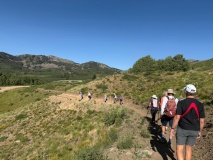 Bonanza-Loop-2