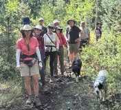 Log-Hollow-Uinta-Hike-8-25-1