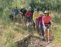 Log-Hollow-Uinta-Hike-8-25-2