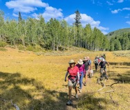 Log-Hollow-Uinta-Hike-8-25-6
