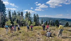 Log-Hollow-Uinta-Hike-8-25-8
