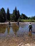 provo river5